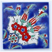 Iznik Tile Miami Florida