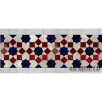 Exotic pool Tiles 