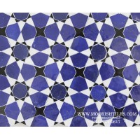 Blue & White Moroccan Tile 